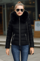 coat with artificial raccoon fur collarAzizaK