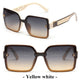 Luxury Square Designer SunglassesAzizaK