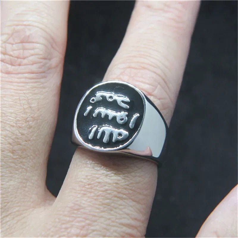 Solid 316L stainless steel ringAzizaK