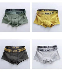 1/5pcs men’s boxersAzizaK