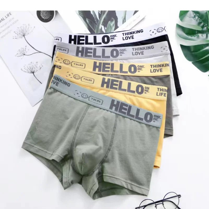 1/5pcs men’s boxersAzizaK