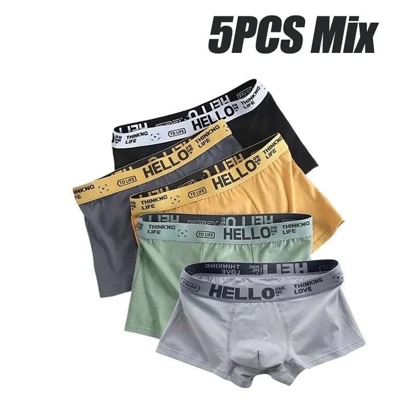 1/5pcs men’s boxersAzizaK