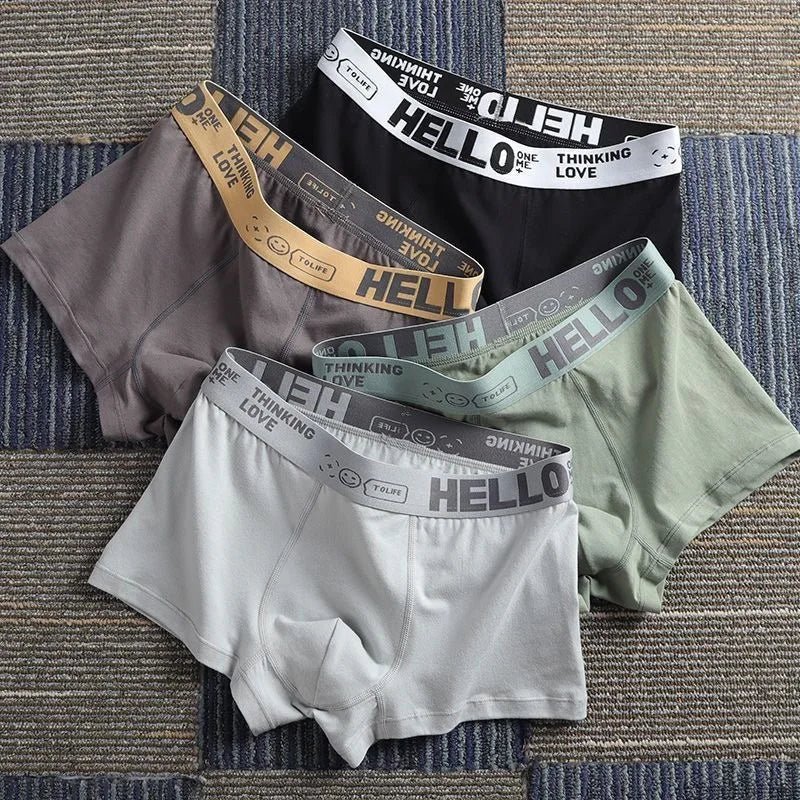 1/5pcs men’s boxersAzizaK