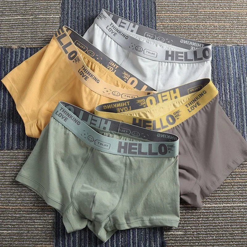 1/5pcs men’s boxersAzizaK