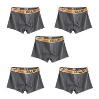 1/5pcs men’s boxersAzizaK