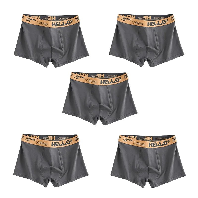 1/5pcs men’s boxersAzizaK