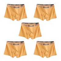 1/5pcs men’s boxersAzizaK