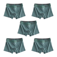 1/5pcs men’s boxersAzizaK