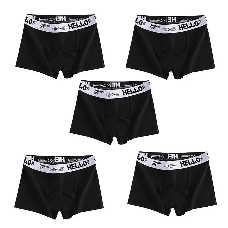 1/5pcs men’s boxersAzizaK