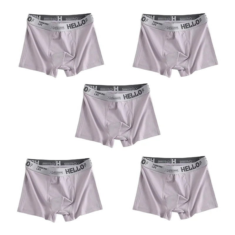 1/5pcs men’s boxersAzizaK