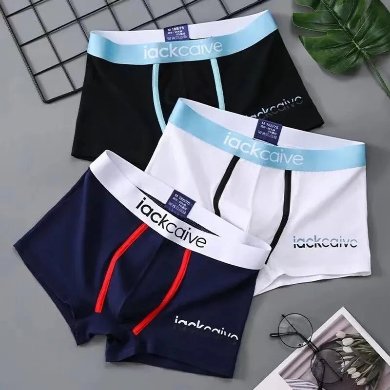 3Pcs Male PantiesAzizaK