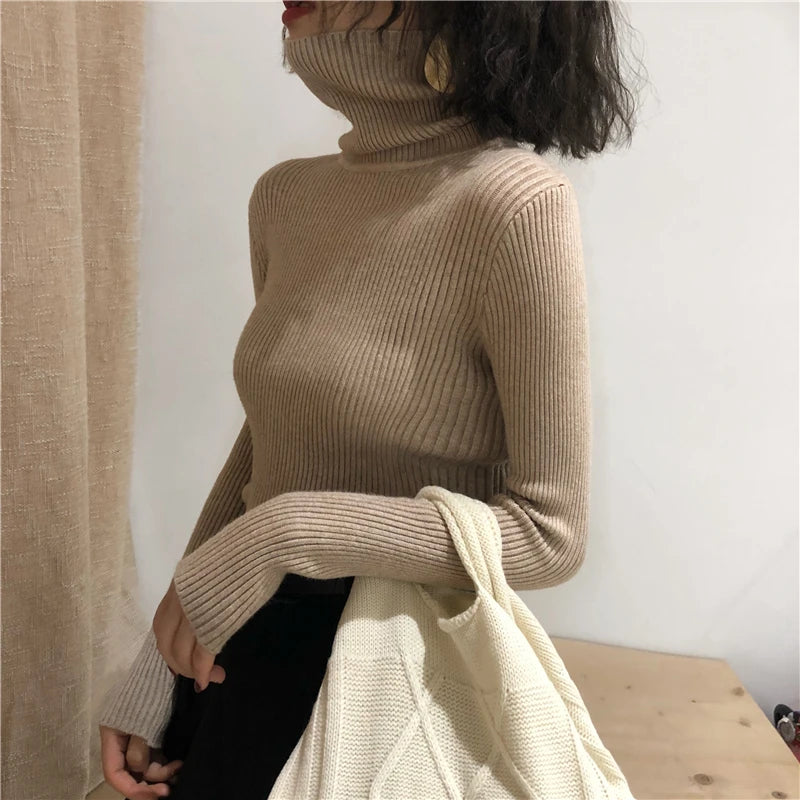 Turtleneck sweater