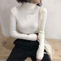 Turtleneck sweater