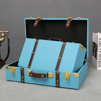 Luxury Vintage Travel Trunk