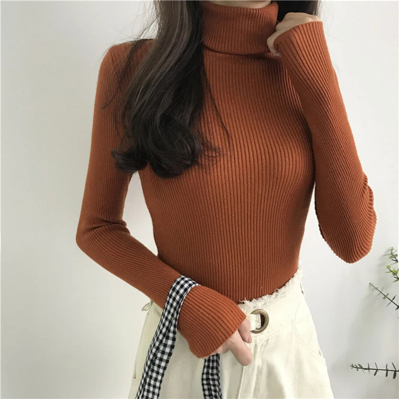 Turtleneck sweater