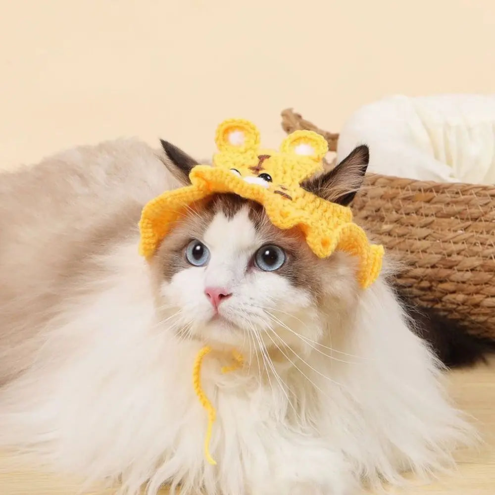 Pet Hat Pet Cat Accessories