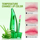 Natural Aloe Lipstick