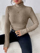 Long Sleeve Turtleneck Sweater