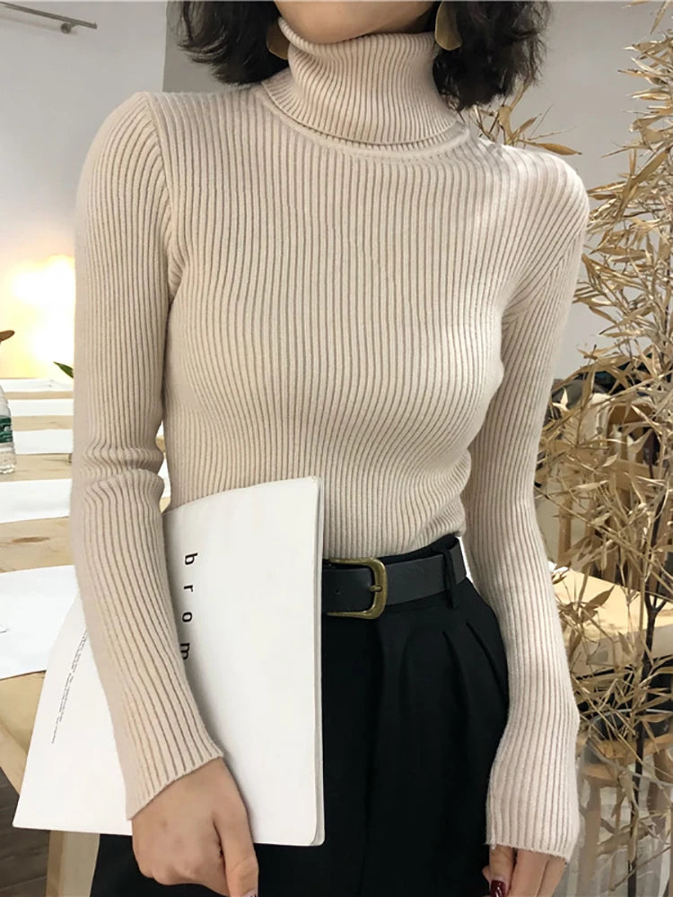 Turtleneck sweater