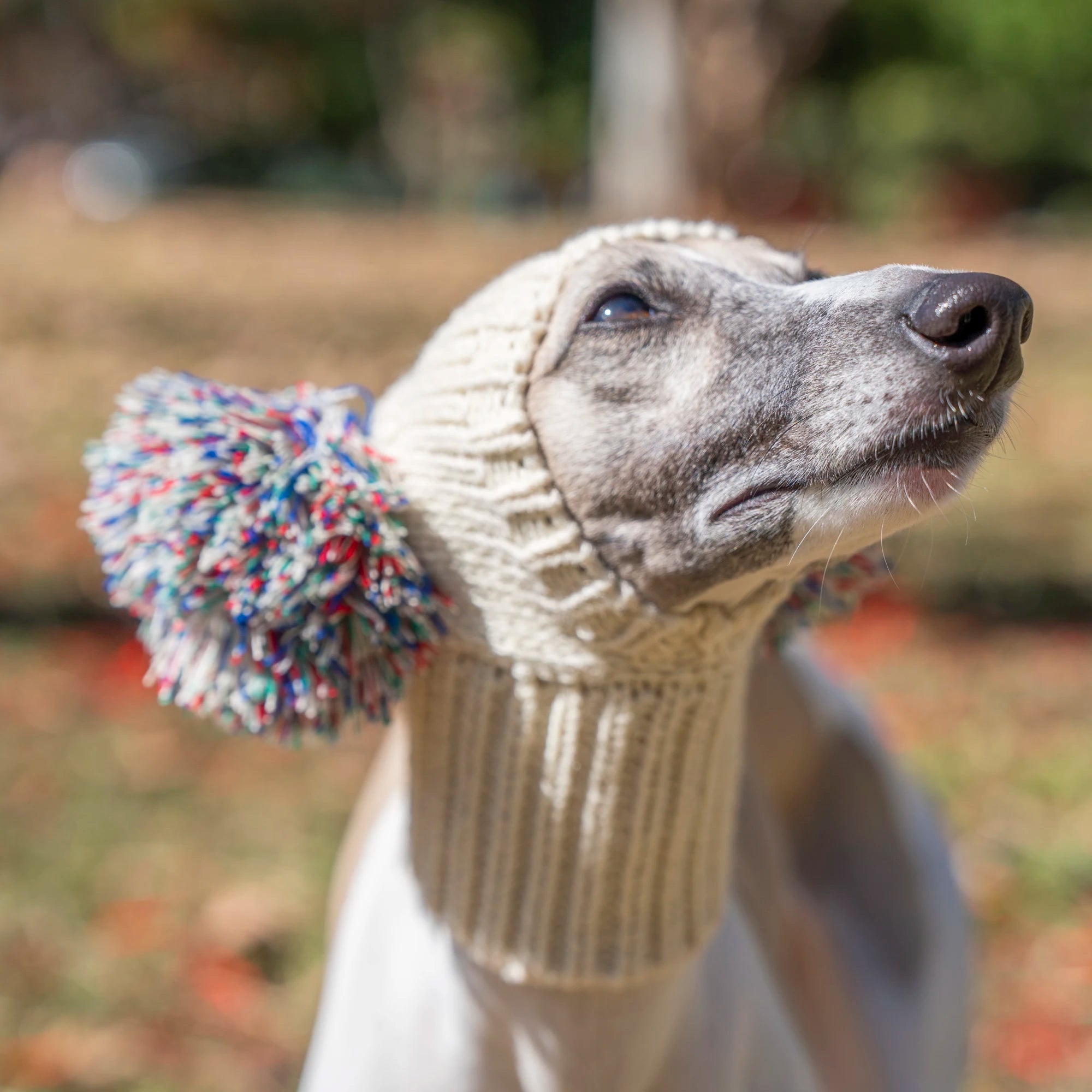 Italian Greyhound Whippet Hat with Fur Ball for Pet Winter Elastic Wool Hat for Puppy Large Dog