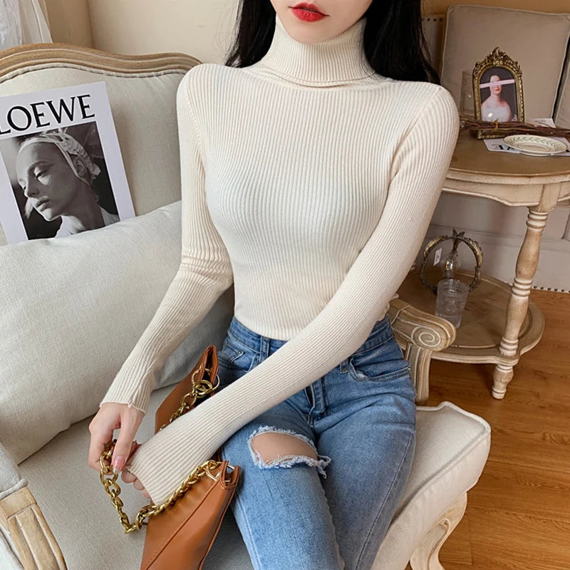 Long sleeve turtleneck knitted sweater