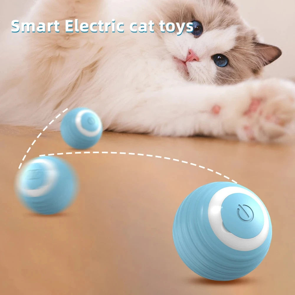 Smart toys for cats and dogs automatically tease. rolling balls