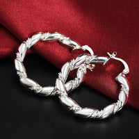 Top quality 925 sterling silver earrings