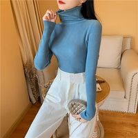 Long sleeve turtleneck knitted sweater