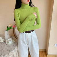 Long sleeve turtleneck knitted sweater