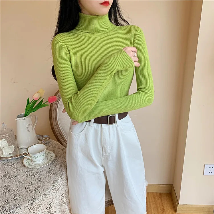 Long sleeve turtleneck knitted sweater