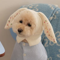 Pet Knitted Hat with Cute Rabbit Ears for Autumn Winter Warm Cat Hat Dog Decoration Dog Costume Hot Dogs