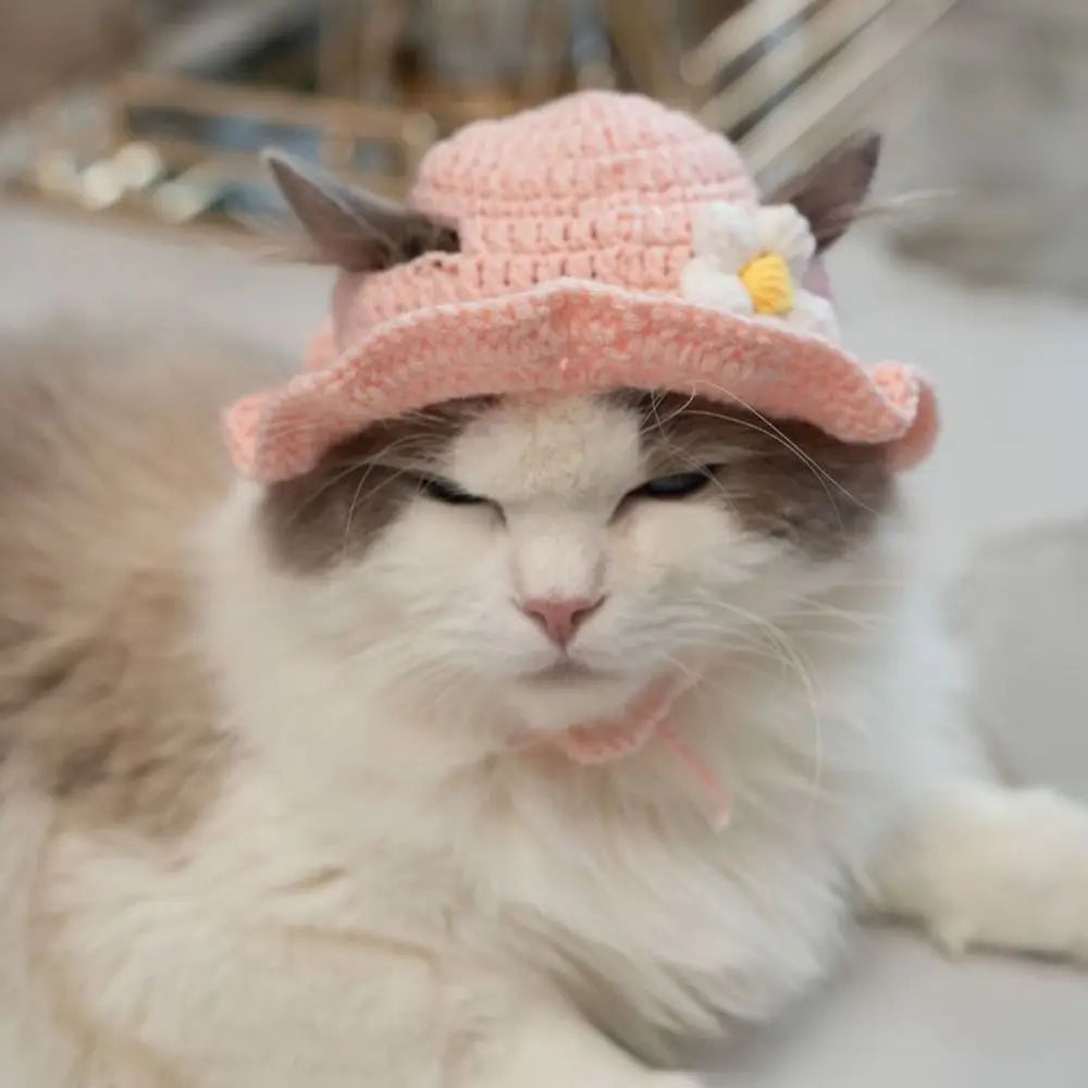 Pet Hat Pet Cat Accessories