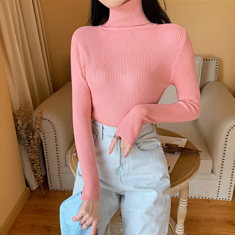 Long sleeve turtleneck knitted sweater