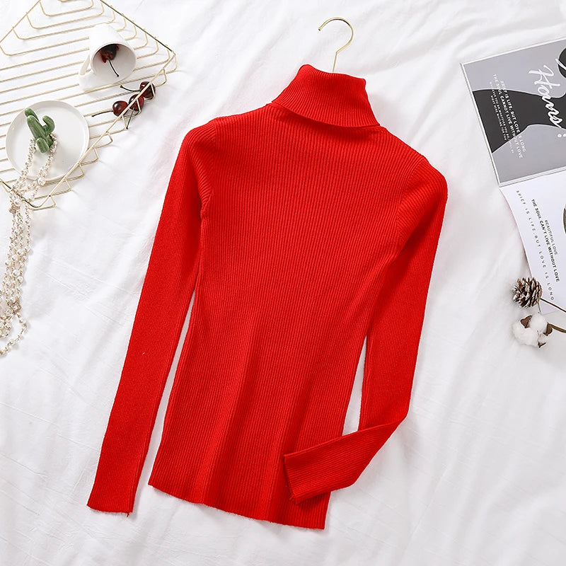 Long sleeve turtleneck knitted sweater