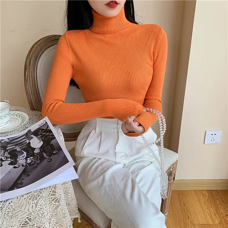 Long sleeve turtleneck knitted sweater