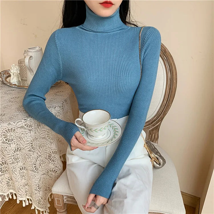 Long sleeve turtleneck knitted sweater