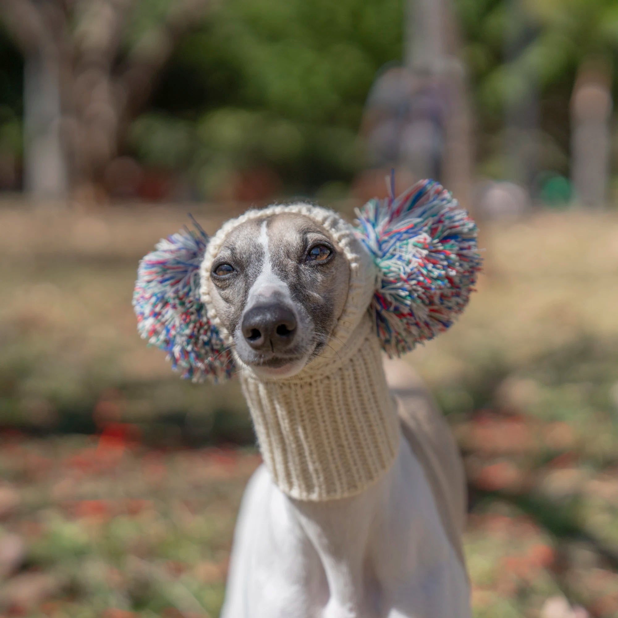 Italian Greyhound Whippet Hat with Fur Ball for Pet Winter Elastic Wool Hat for Puppy Large Dog