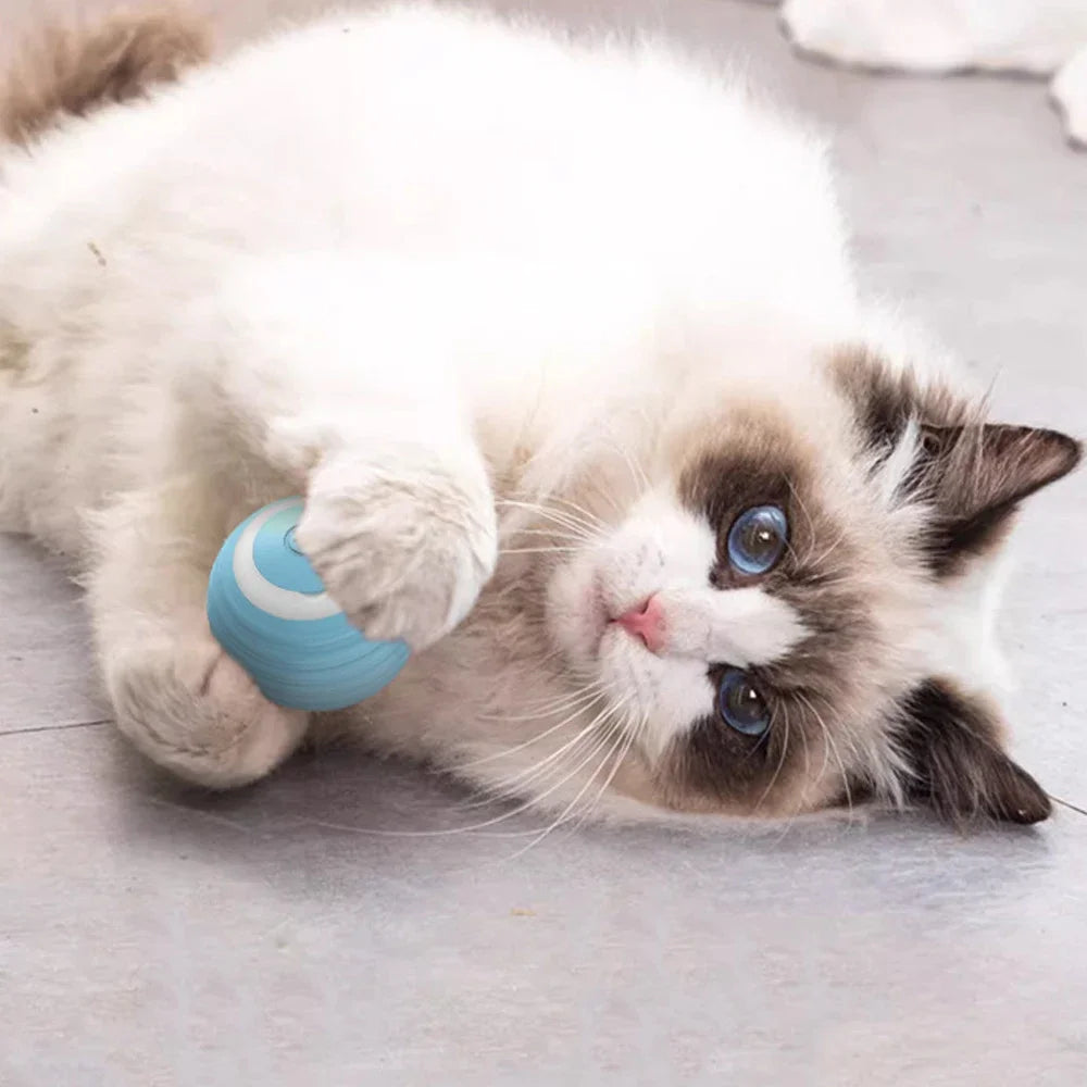 Smart toys for cats and dogs automatically tease. rolling balls