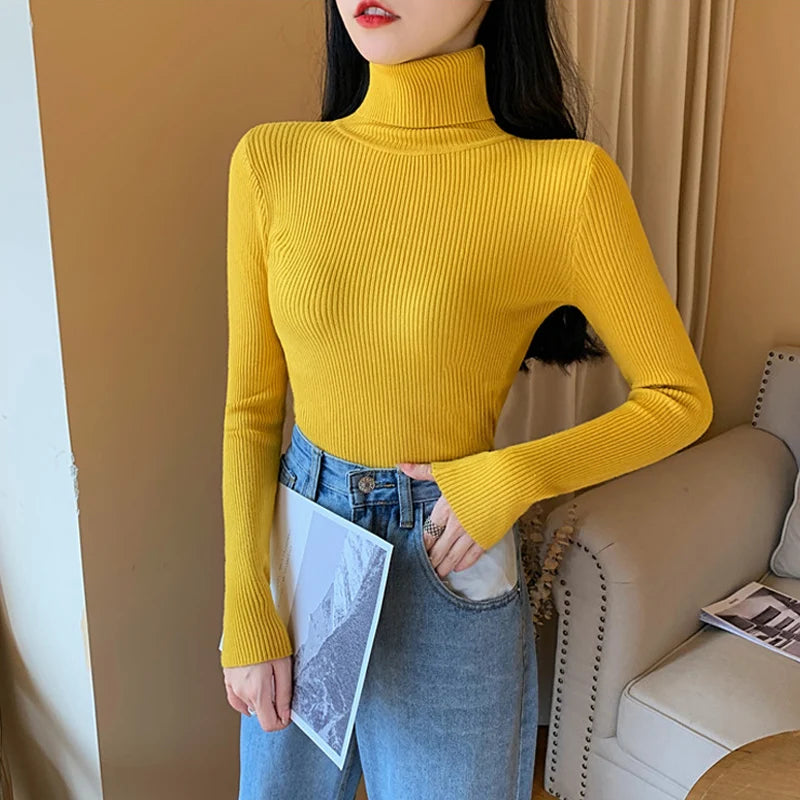 Long sleeve turtleneck knitted sweater