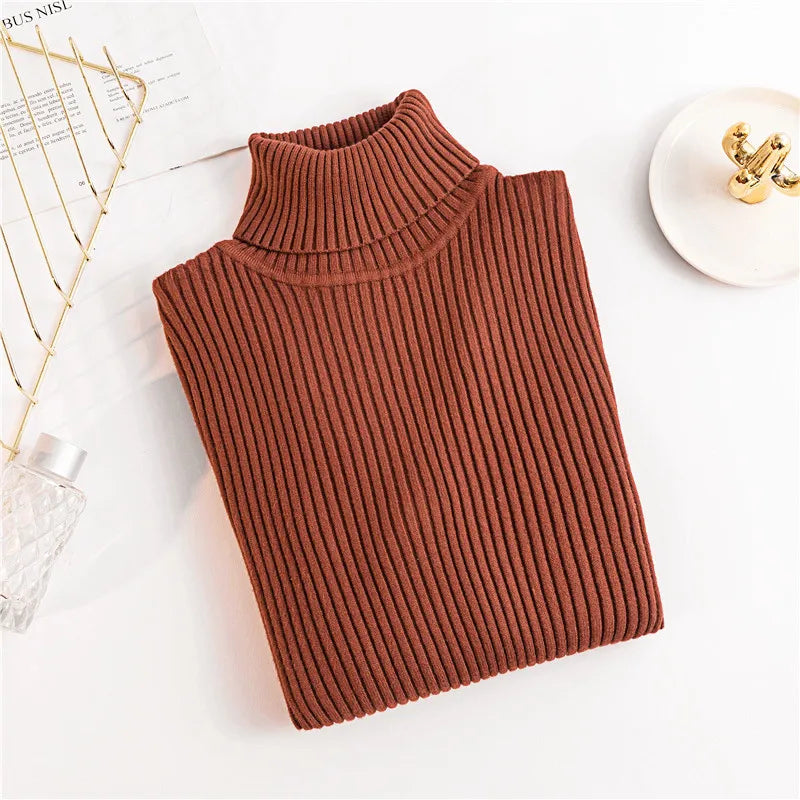 Long sleeve turtleneck knitted sweater