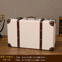 Luxury Vintage Travel Trunk