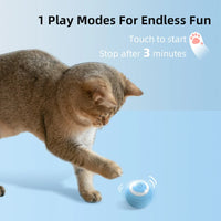 Smart toys for cats and dogs automatically tease. rolling balls