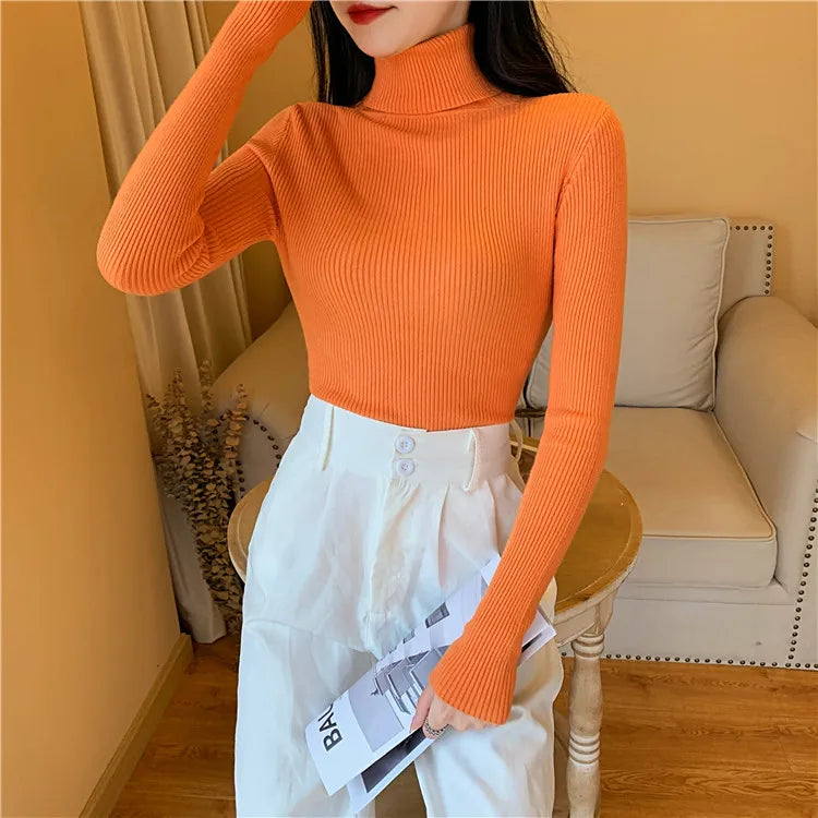 Long sleeve turtleneck knitted sweater