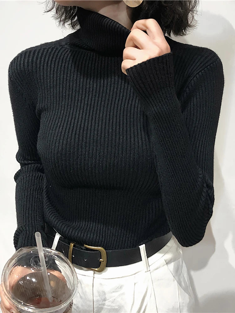 Turtleneck sweater