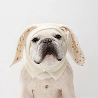 Pet Knitted Hat with Cute Rabbit Ears for Autumn Winter Warm Cat Hat Dog Decoration Dog Costume Hot Dogs