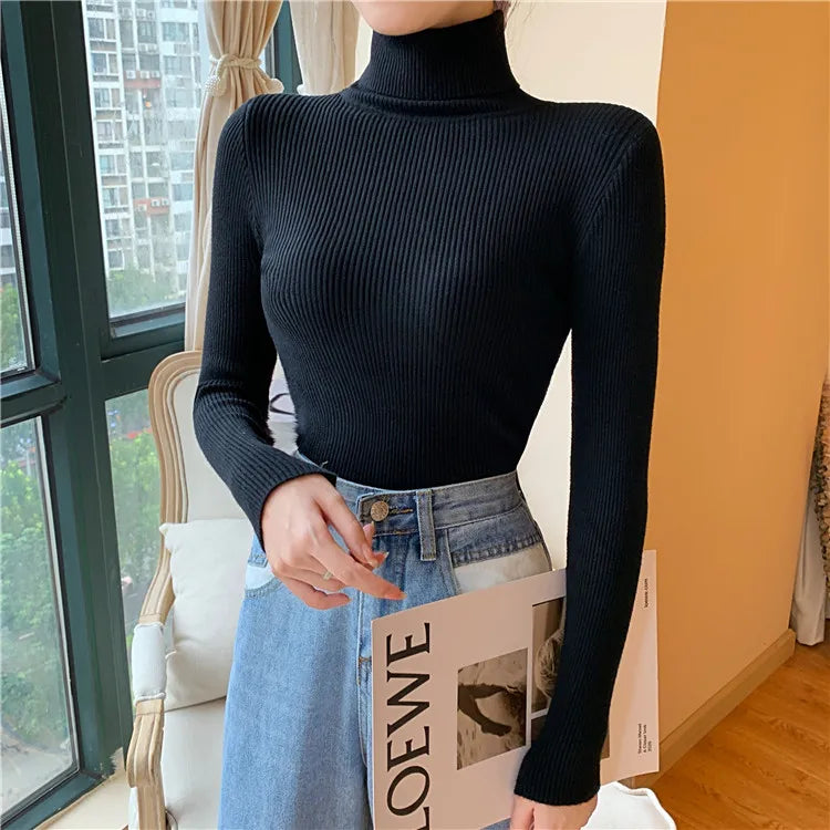 Long sleeve turtleneck knitted sweater