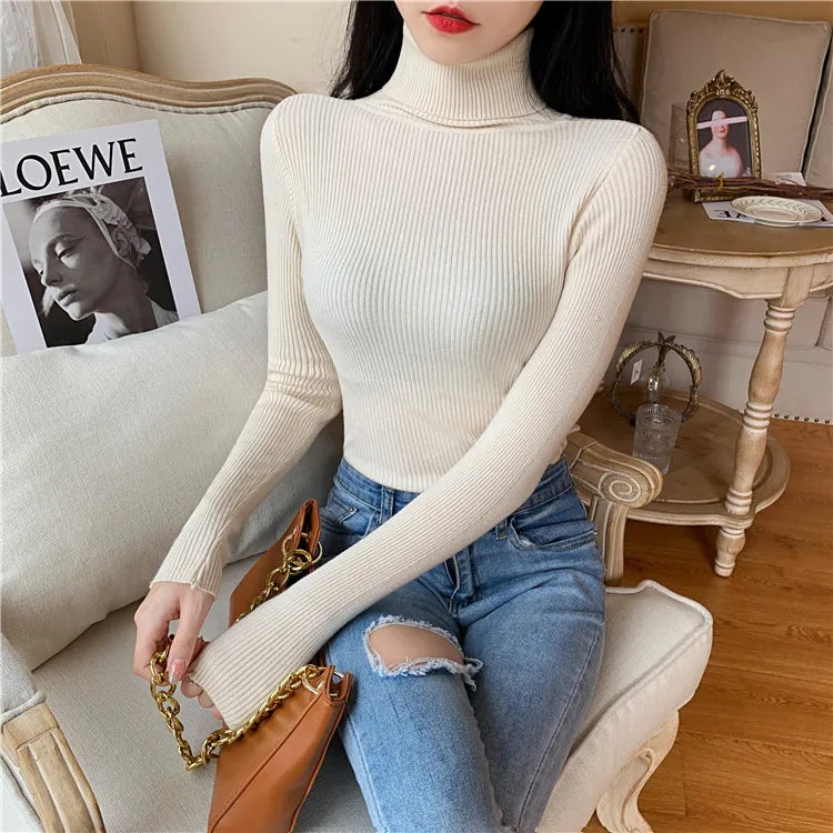 Long sleeve turtleneck knitted sweater