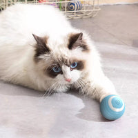 Smart toys for cats and dogs automatically tease. rolling balls