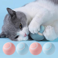 Automatic Motion Cat Toy Interactive Ball Rechargeable Electric Pet Accessories Cat Toys Garden ProductsAzizaK