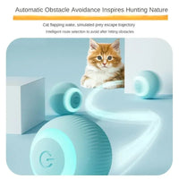 Automatic Motion Cat Toy Interactive Ball Rechargeable Electric Pet Accessories Cat Toys Garden ProductsAzizaK